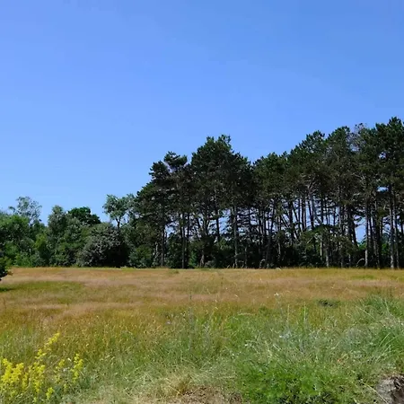 Hébergement de vacances 5 Star Holiday Home In Vaeggerlose Bøtø By