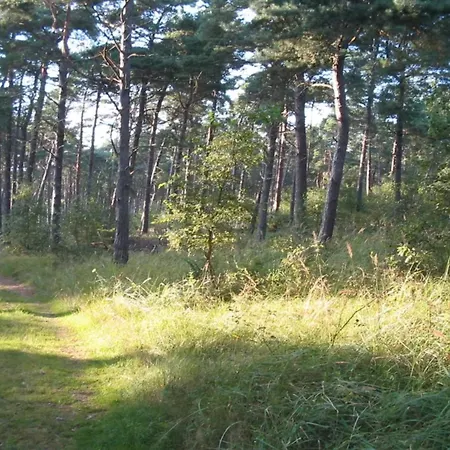 Luxury Retreat Near - By Traum بيت للعطل