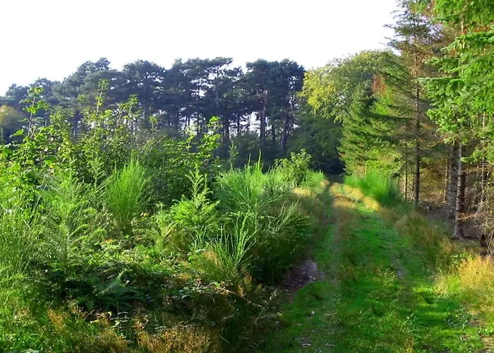 Luxury Retreat Near - By Traum بيت للعطل *