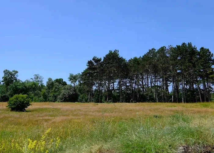 بيت للعطل Luxury Retreat Near - By Traum Bøtø By