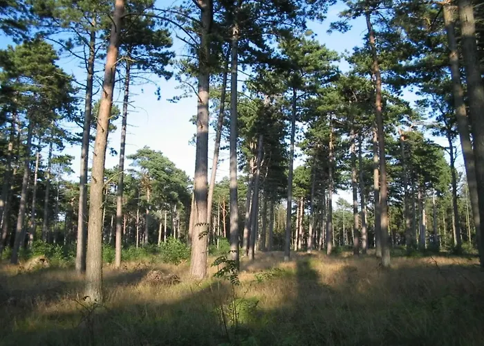 Luxury Retreat Near - By Traum بيت للعطل Bøtø By