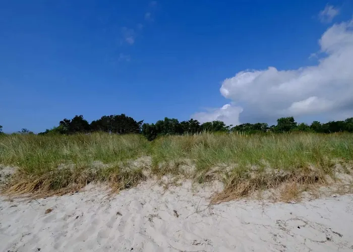 Luxury Retreat Near - By Traum بيت للعطل *