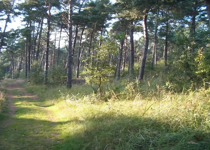 Luxury Retreat Near - By Traum بيت للعطل